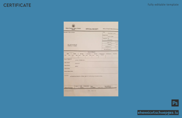 Vorschau eines Beispiels für eine Sterbeurkunde des Hawaii Office of Health Status Monitoring